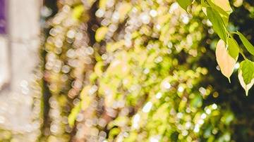 Hay signos que son demasiado cariñosos.