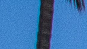 Miuchos piensan ir en busca de la playa este fin de semana en California.