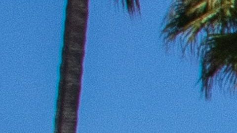 Miuchos piensan ir en busca de la playa este fin de semana en California.