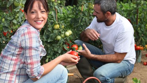 En las clases por Internet te enseñarán a cómo tener un huerto en tu hogar. / fotos: archivo.