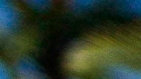 Diversas protestas han recalcado que los Dreamers ‘están aquí en EE.UU. para quedarse’.