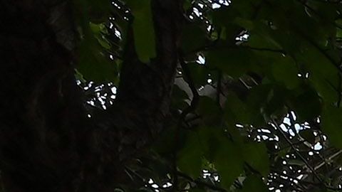 Foto de archivo.