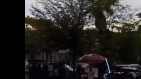 Algunos de los turistas viajaban en camionetas todoterreno.