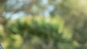 El dispositivo Amazon Echo Auto es comaptible con cualquier auto que tenga entrada auxiliar de audio o sistema Bluetooth.