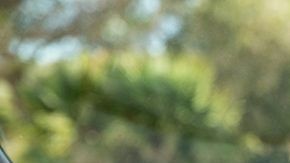 El dispositivo Amazon Echo Auto es comaptible con cualquier auto que tenga entrada auxiliar de audio o sistema Bluetooth.