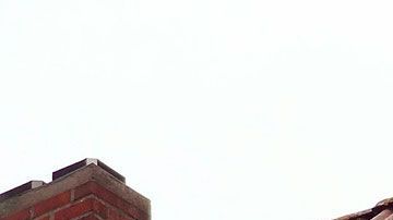 Los seguro del hogar, a veces, cubren hasta las cosas más insólitas.