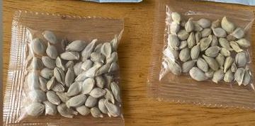 Las semillas de China.