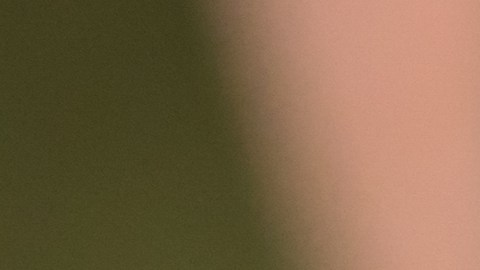 lengua