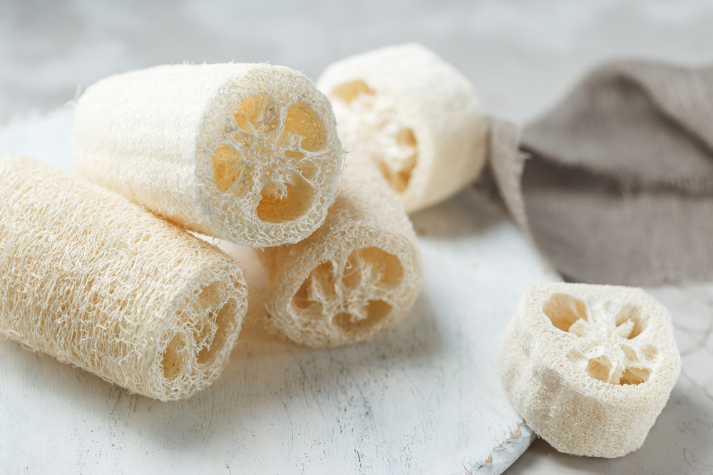 luffa