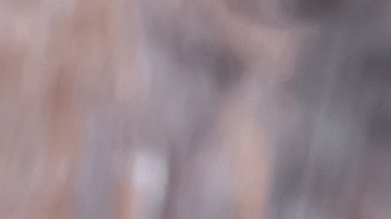 infusión té tomillo