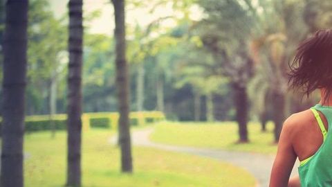 shutterstock_520017307