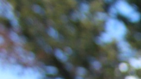 Cada signo eleva su autoestima de manera diferente.