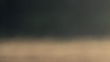 Cada personas enfrenta distinto el dolor de la muerte.