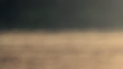 Cada personas enfrenta distinto el dolor de la muerte.