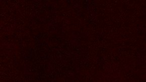 Melania Trump hablará desde la recién remodelada Rosadela de la Casa Blanca.