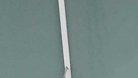 Cirenia Hernández es una de varios vendedores ambulantes que promueven el Censo en sus carritos. (Pacoima Beautiful)