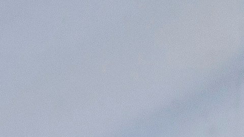 Los resultados llegan al usuario unos cinco días después.