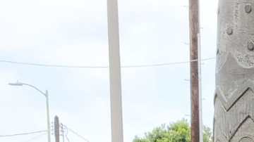 Las bandas de mariachis también pueden solicitar las becas de alivio del estado de California. (Suministrada)