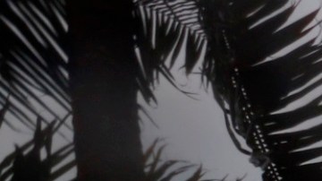 Otra tormenta tropical, Laura, avanza hacia la isla La Española.