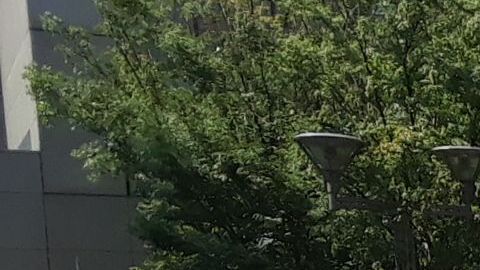 MetroTech Center