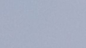 NYPD analiza el auge de la violencia