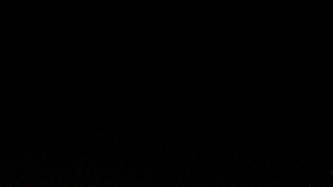 Cientos participan en la "Marcha por la Muerte" de 175,000 personas, en NY.