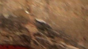 La pequeña mueve las manos en señal de que se encuentra con vida.