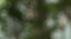 60,000 personas han muerto en México por complicaciones derivadas del coronavirus.