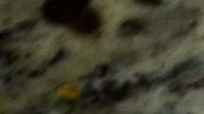 Powerball lottery jackpot at 900 million