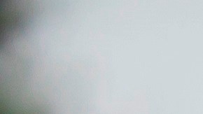 Los demócratas quieren enviar $25,000 millones para el correo postal, pero la ley no tiene futuro en el Senado.