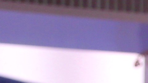 Jorge Bernal junto a María Celeste Arrarás.