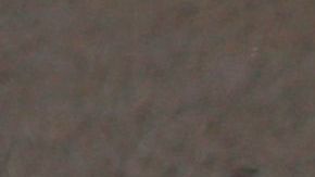 La fórmula uno tendrá por primero vez un piloto chino.