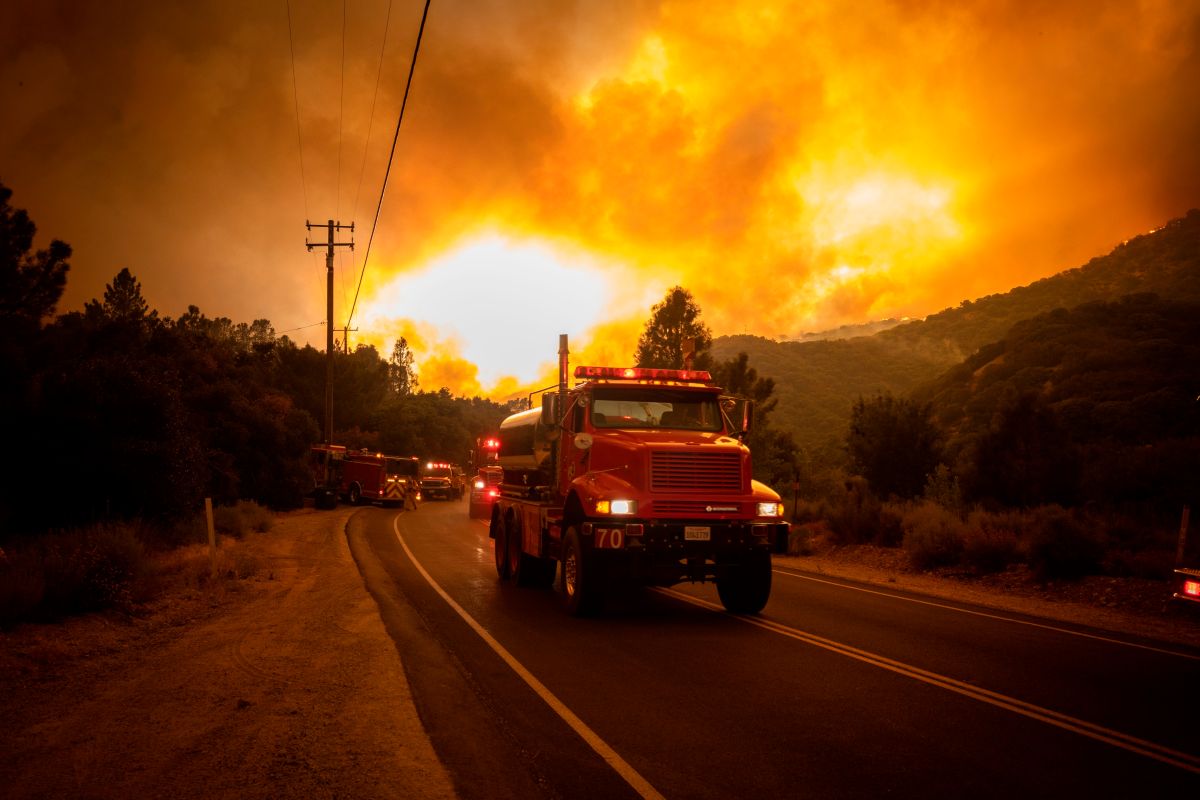 Bomberos combaten el llamado Lake Fire en Los Angeles Nacional Forest.