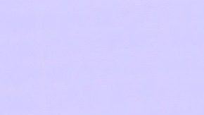 Adamari López junto a su gran amigo el Chef James.