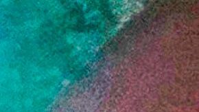 Manifestantes en Kenosha, Wisconsin