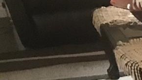 Piden ayuda para que niños se reúnan con su madre. (Cortesía Mayra Todd)