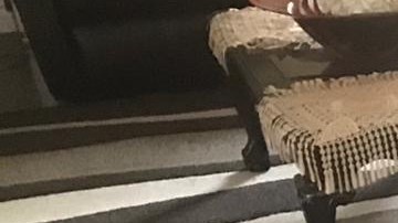 Piden ayuda para que niños se reúnan con su madre. (Cortesía Mayra Todd)