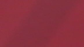 Andrés Manuel López Obrador, Presidente de México.