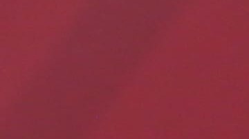 Andrés Manuel López Obrador, Presidente de México.