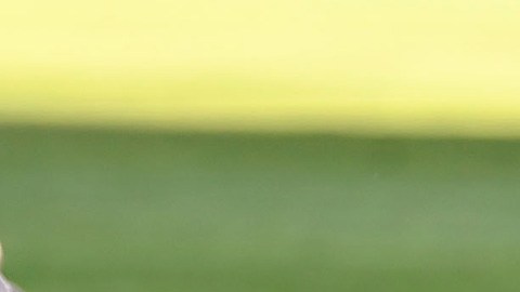 Alan Pulido selección