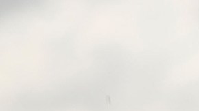 Antuna y Vega castigados