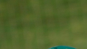 Astros y Athletics bronca