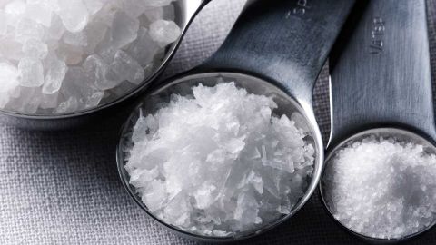 CR-Magazine-Inlinehero-q-A-salt-august-2020-2-0620