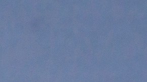 Chicharito Final sevilla Europa League