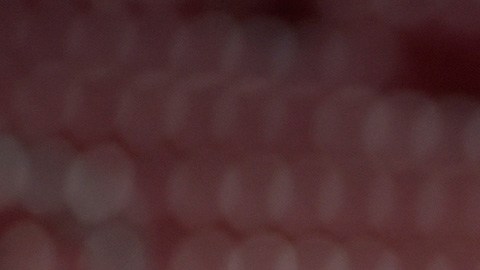 Chivas fondo de la tabla