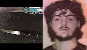 Dzenan Camovic y el arma que usó