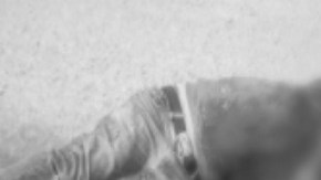 FOTOS: Matan a carniceros a balazos, sumarían al menos 100 asesinatos tras captura del Marro