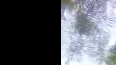 FOTOS: Sicarios del Cártel del Golfo atacan a policías, les responden y abaten a uno de los matones