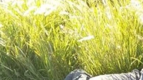 FOTOS: Sicarios matan a 7 y tiran los cuerpos cerca de una carretera