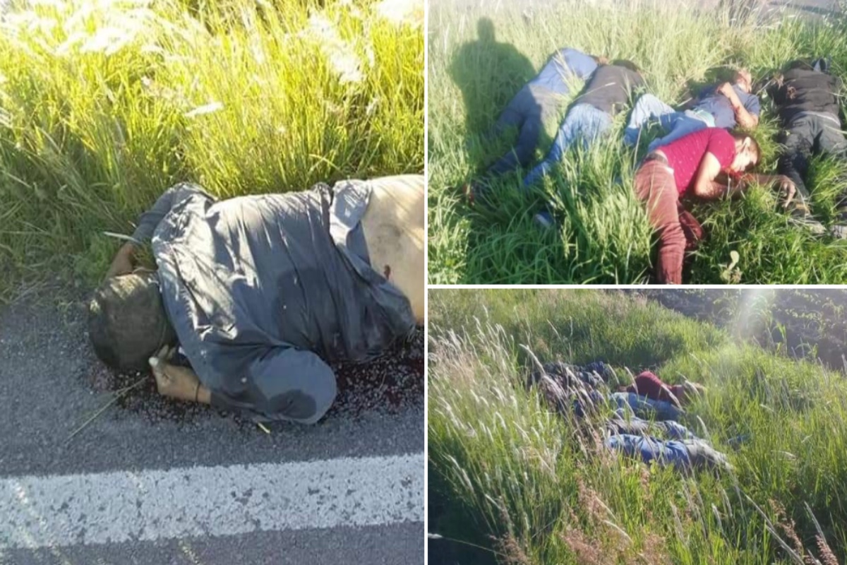 FOTOS: Sicarios matan a 7 y tiran los cuerpos cerca de una carretera